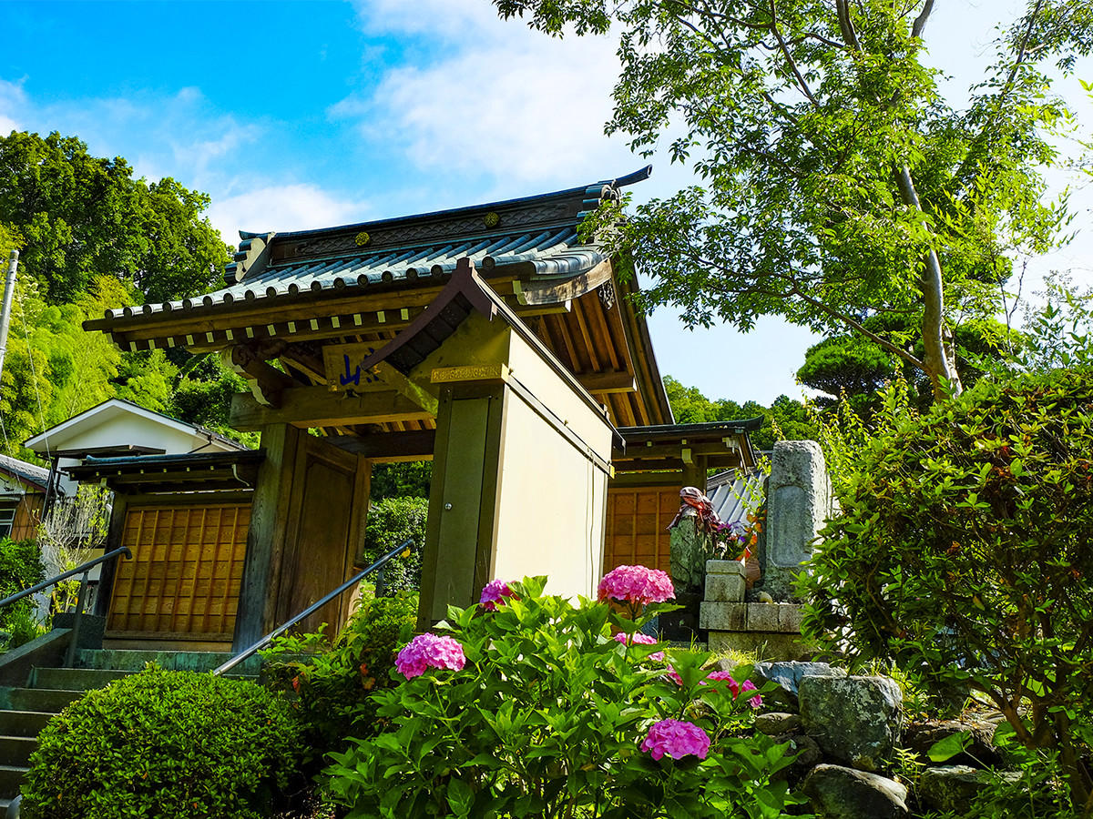 400年以上の歴史がある慶林寺。紫陽花が綺麗なお寺です。