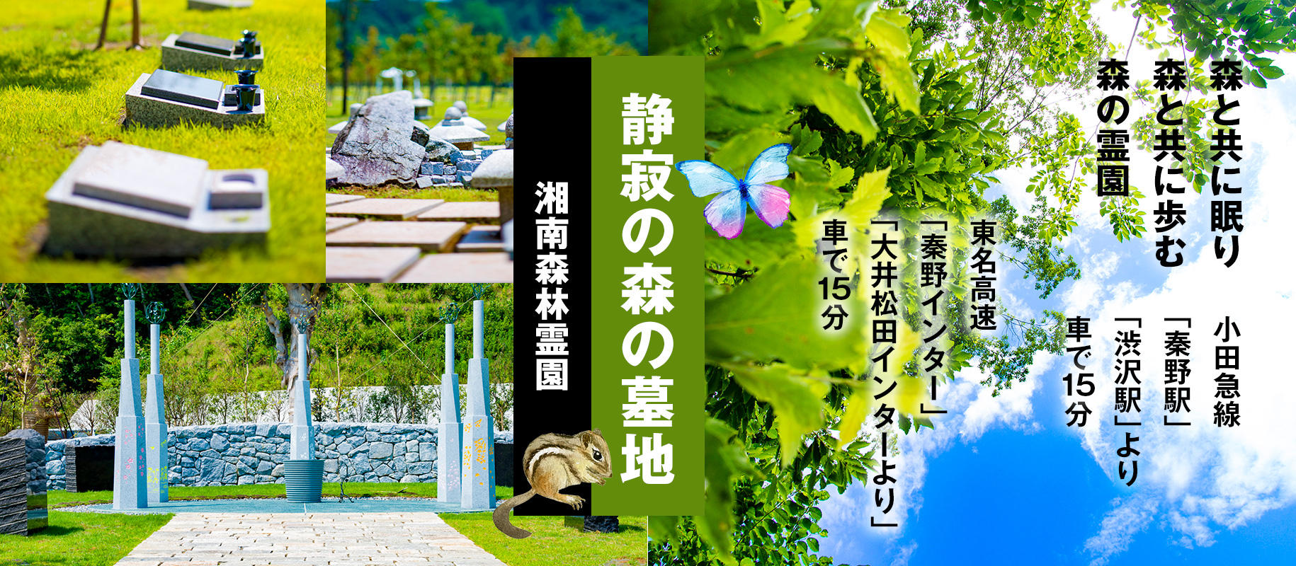秦野にたたずむ静寂の森の墓地