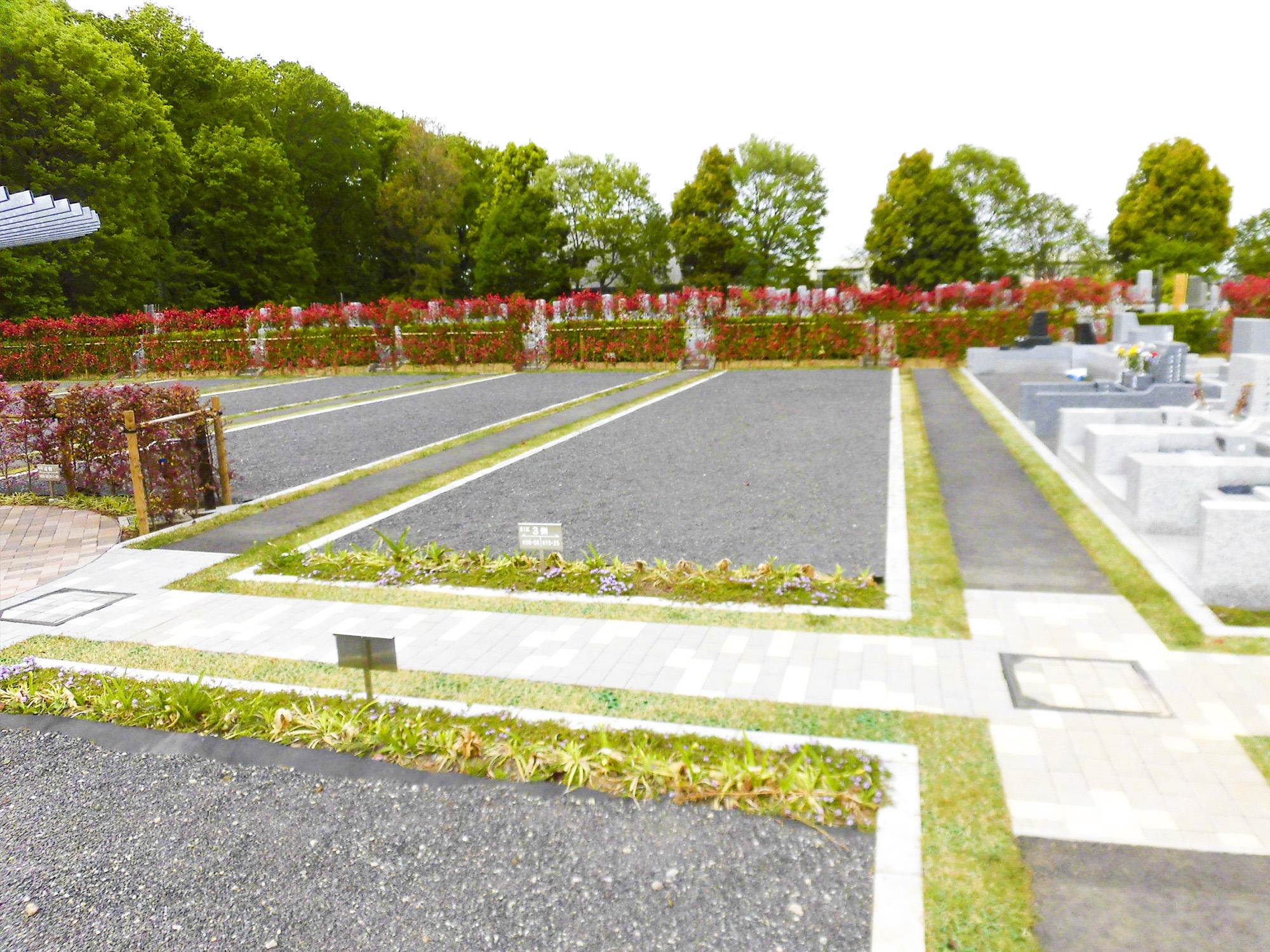 news_20180427_tokorozawa_02.jpg